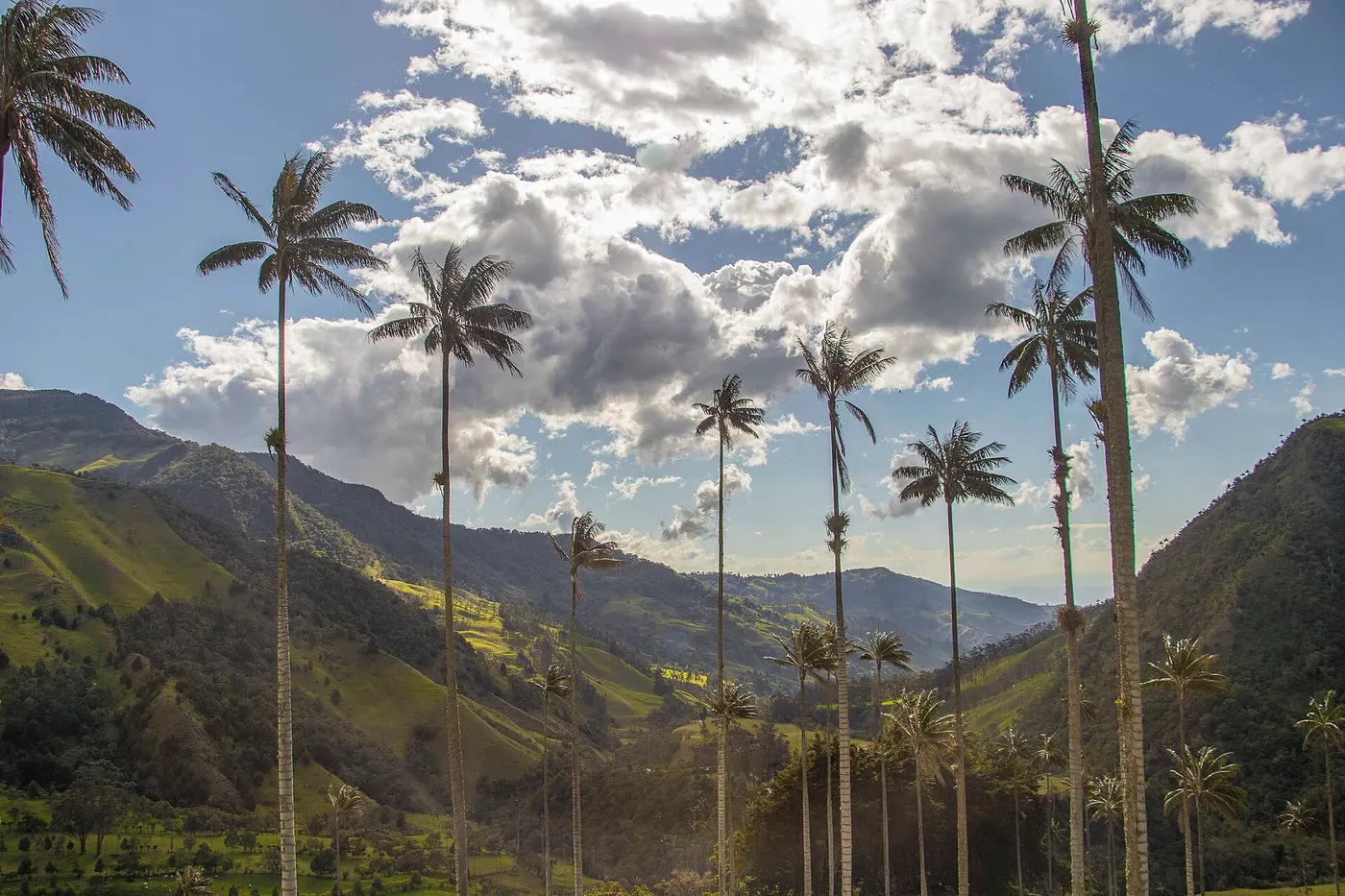 Vue lumineuse de Colombie / Medellín et la route du café