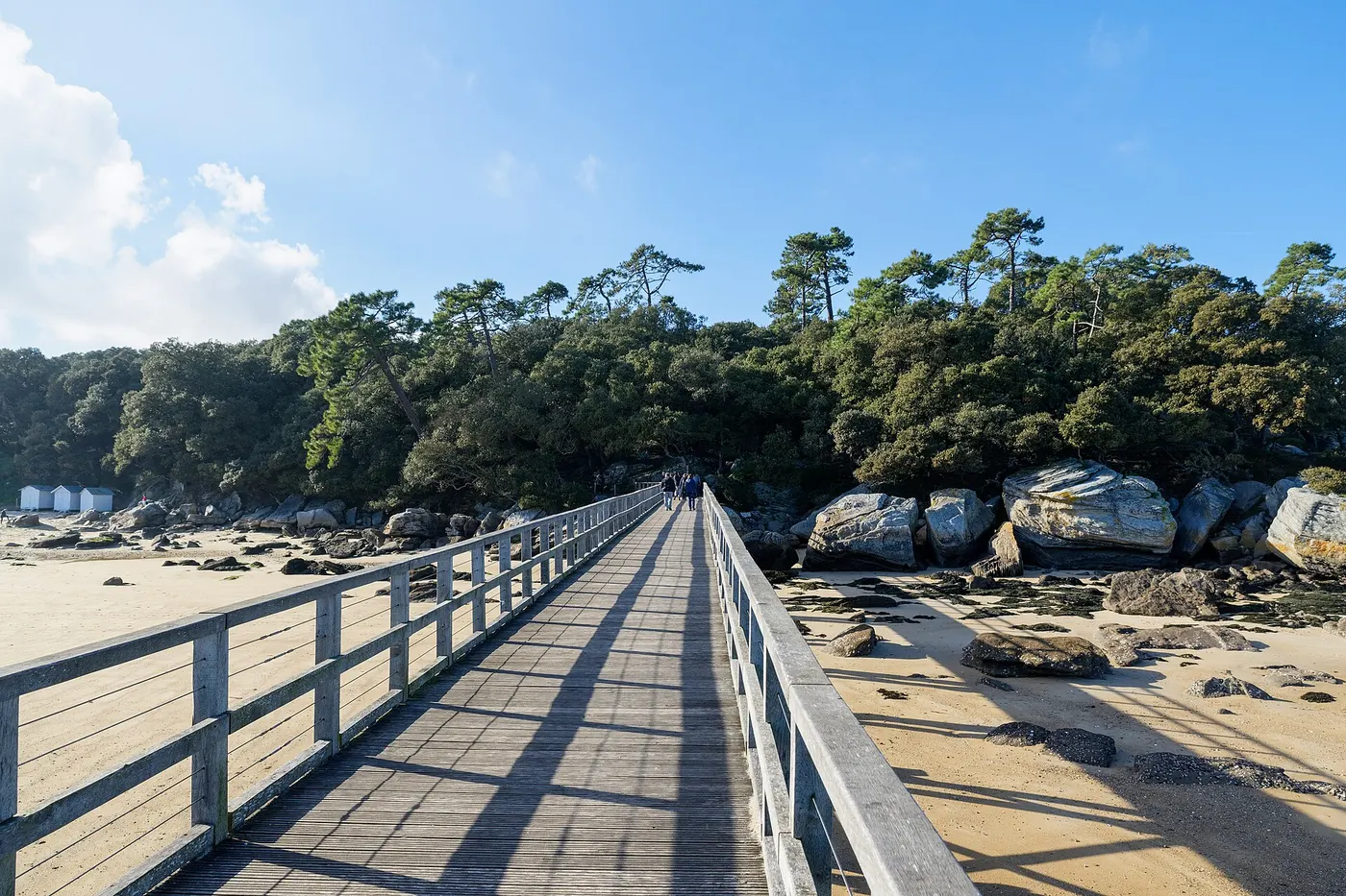 Vue lumineuse de Vendée et Noirmoutier